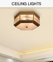 Ceiling Lights